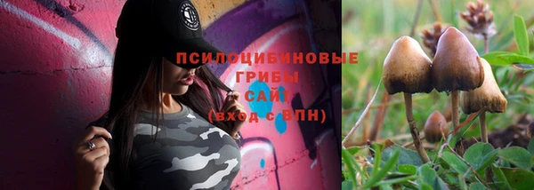ешки Новокубанск